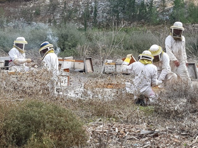 24f9a230-e8f5-4d21-9254-f060149a1b5a