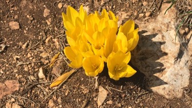 DCB1FD92-9474-4E1F-817D-9329553CBFCE