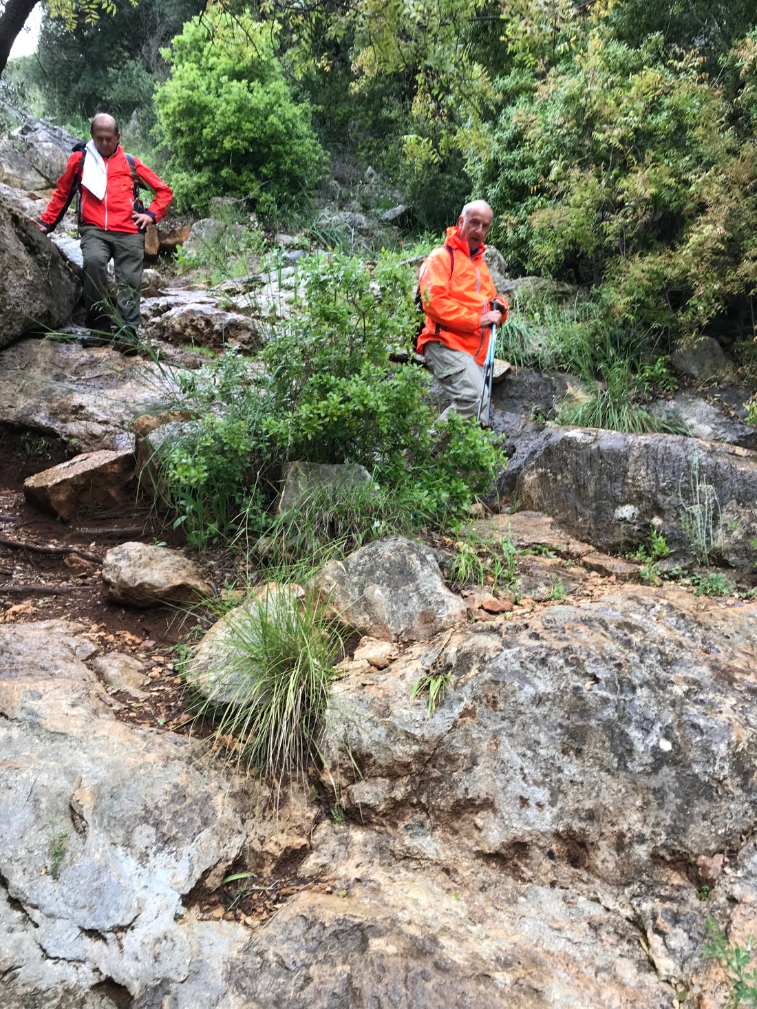 B08879D3-D728-4FCB-94BB-5FA17524431B