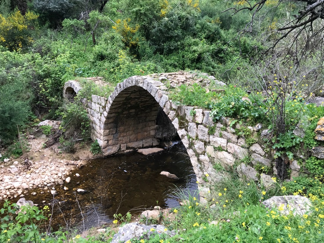 D33E02E9-A606-44F6-AA25-AE0C1D1511D5