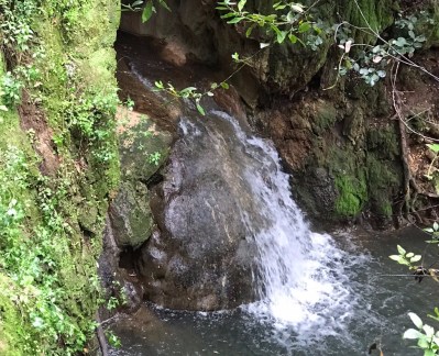 UNADJUSTEDNONRAW_thumb_ff7