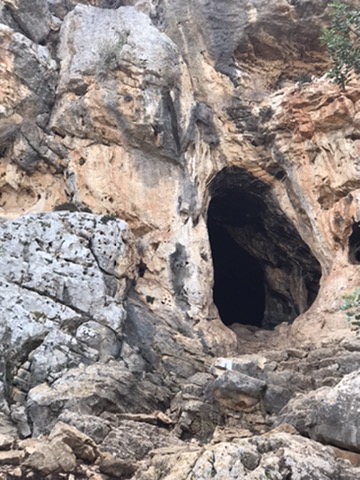 UNADJUSTEDNONRAW_mini_163