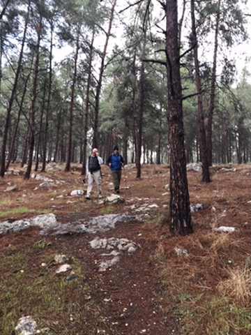 UNADJUSTEDNONRAW_mini_175