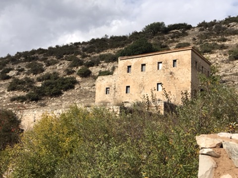 UNADJUSTEDNONRAW_mini_183