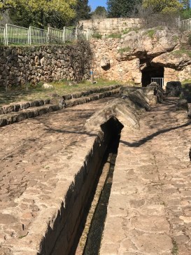 3FC056F9-0537-45DC-BC52-3EE757E586FE_1_105_c