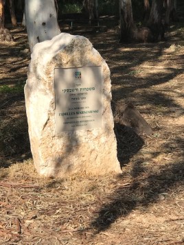 BFA3D1D5-A6AB-4FEB-8451-7F03845D3D99_1_105_c